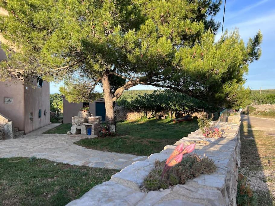 Holiday Apartment Нерезине Екстериор снимка